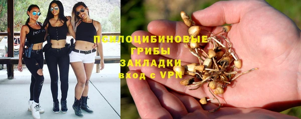 ПСИЛОЦИБИНОВЫЕ ГРИБЫ Абаза